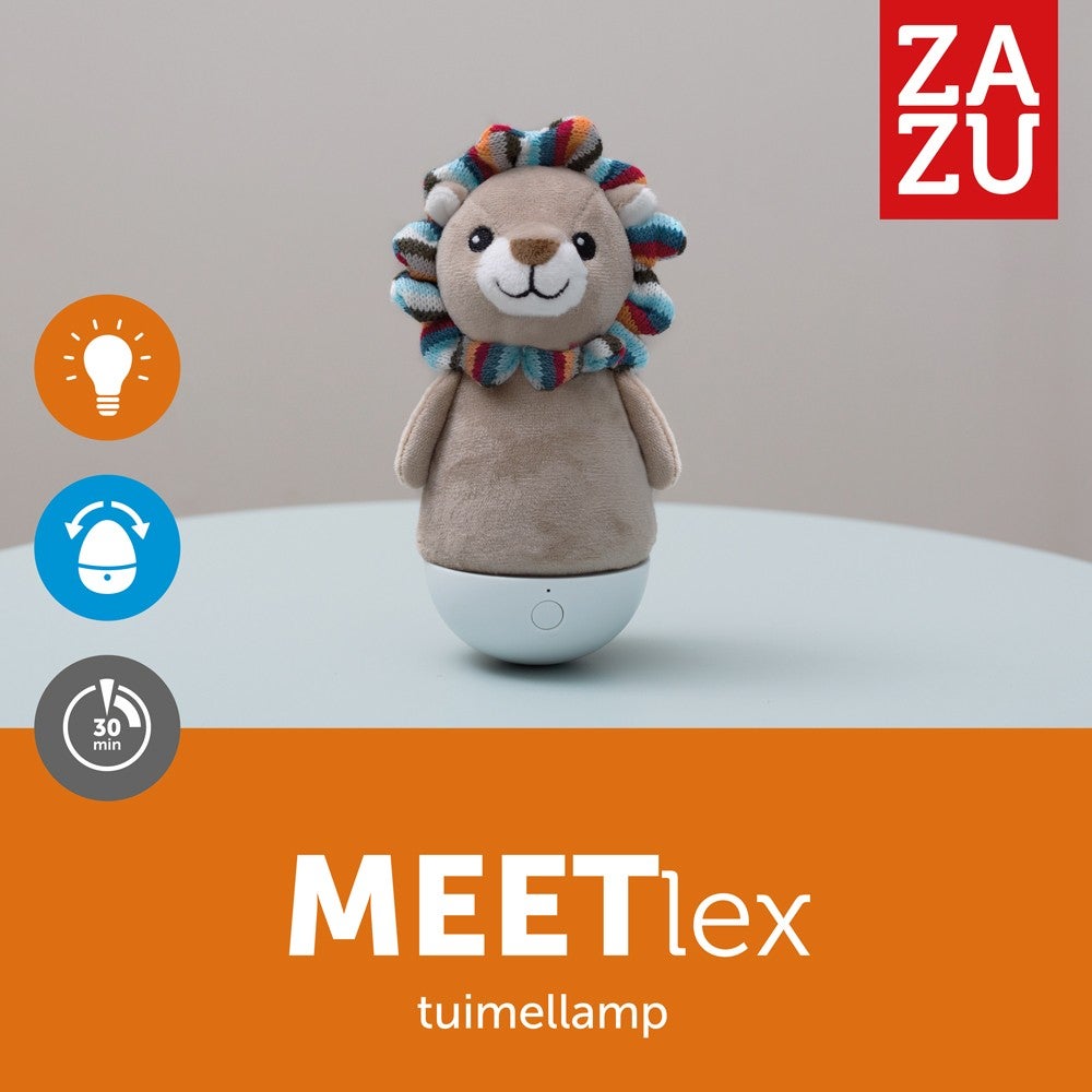 1302400720_3_tuimellamp_zazu_lex_de_leeuw 1302400720_3_tuimellamp_zazu_lex_de_leeuw_3