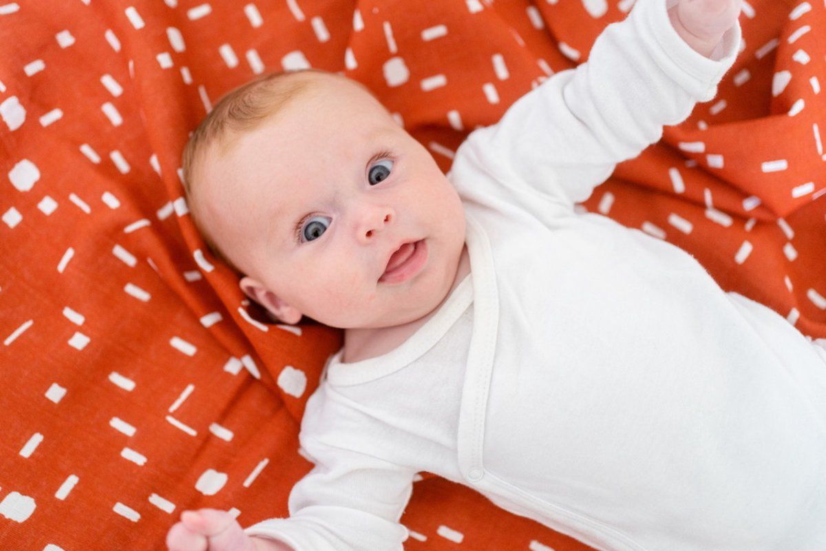 1852110004_5_hydrofiele_luiers_briljant_baby_art_terra_3st 1852110004_5_hydrofiele_luiers_briljant_baby_art_terra_3st_5
