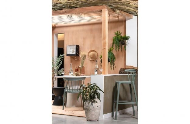 2652300172_2_plant_woood_varen_hangend_58cm_375139g 2652300172_2_plant_woood_varen_hangend_58cm_375139g_2