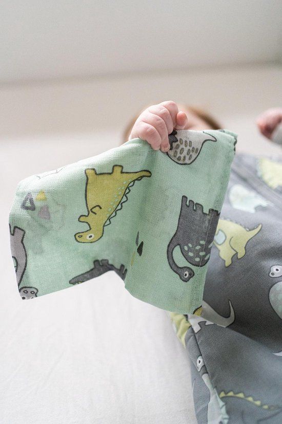 3852110378_3_briljant_baby_washandjes_hydrofiel_dino_3st.jpg 3852110378_3_briljant_baby_washandjes_hydrofiel_dino_3st.jpg_2