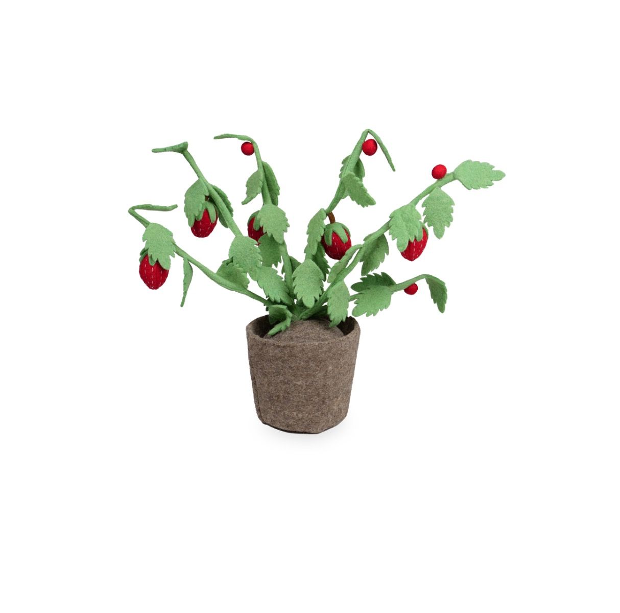 Plant KidsDepot Strawberry Plant KidsDepot Strawberry_1