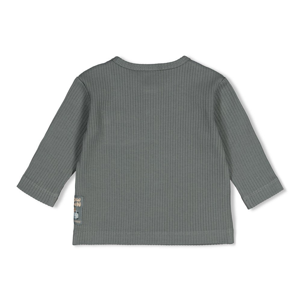 51602843_2_Shirt_Longsleeve_Feetje_Rib_Beep_Beep_Zeegroen 51602843_2_Shirt_Longsleeve_Feetje_Rib_Beep_Beep_Zeegroen_2