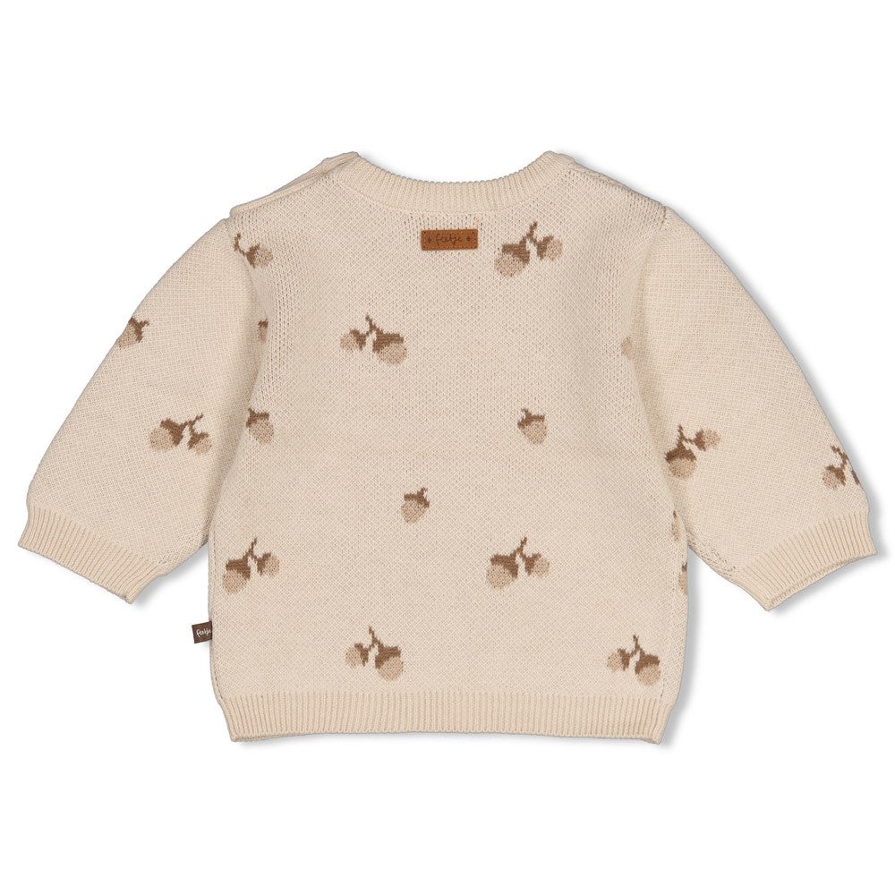 51602896_2_Sweater_Feetje_Gebreid_The_Knits 51602896_2_Sweater_Feetje_Gebreid_The_Knits_2