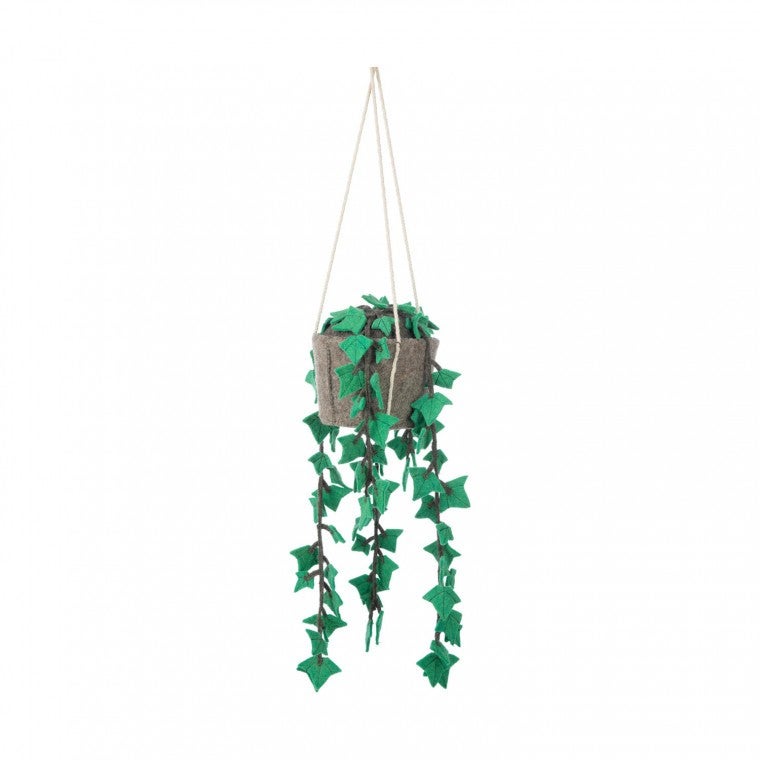 KidsDepot Hangplant Hedera KidsDepot Hangplant Hedera_1