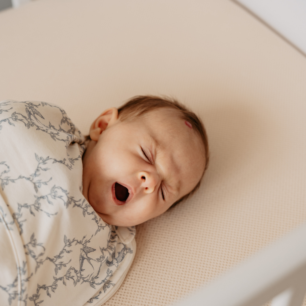9352150154_3_slaapzak_puckababy_piep_cotton_swallows 9352150154_3_slaapzak_puckababy_piep_cotton_swallows_3