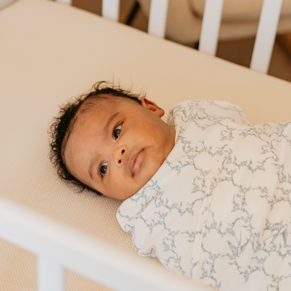 9352150154_6_slaapzak_puckababy_piep_cotton_swallows 9352150154_6_slaapzak_puckababy_piep_cotton_swallows_6