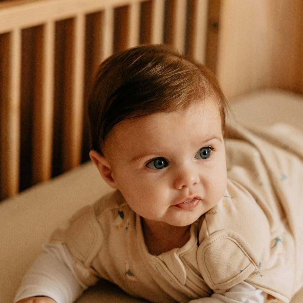 9352150158_3_Inbakerslaapzak_Puckababy_Mini_Geese 9352150158_3_Inbakerslaapzak_Puckababy_Mini_Geese_8