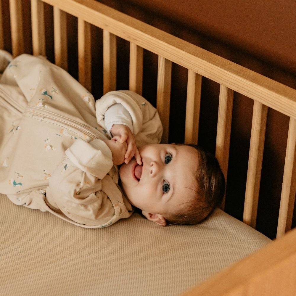 9352150159_16_Slaapzak_Puckababy_Bag_Newborn_Geese 9352150159_16_Slaapzak_Puckababy_Bag_Newborn_Geese_15