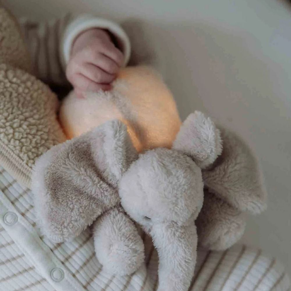 9602450017_3_Knuffel_Nachtlampje_Flow_Amsterdam_George_Blush 9602450017_3_Knuffel_Nachtlampje_Flow_Amsterdam_George_Blush_4