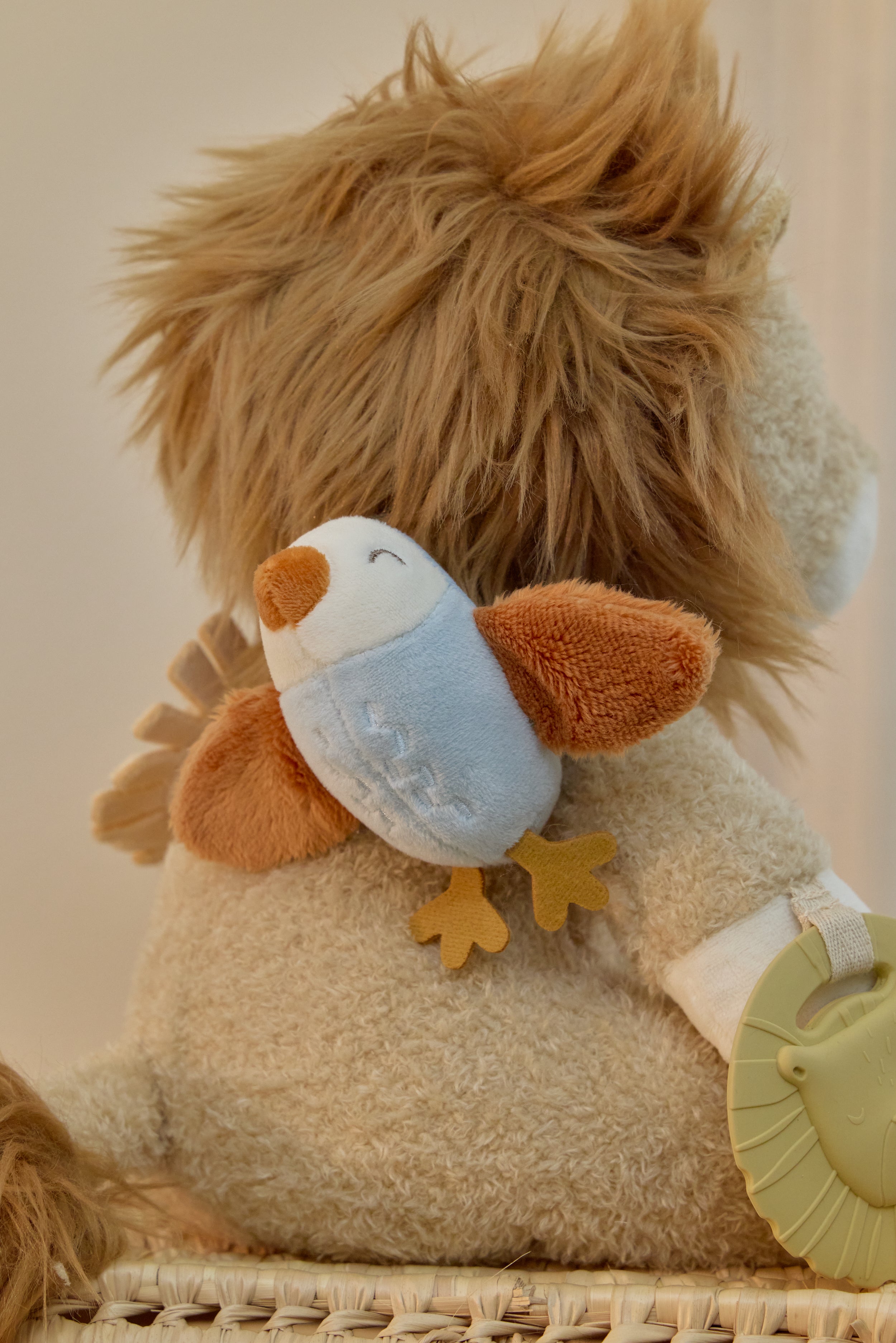 LD8321ActivityLion_SF_LI_02 LD8321ActivityLion_SF_LI_02_5