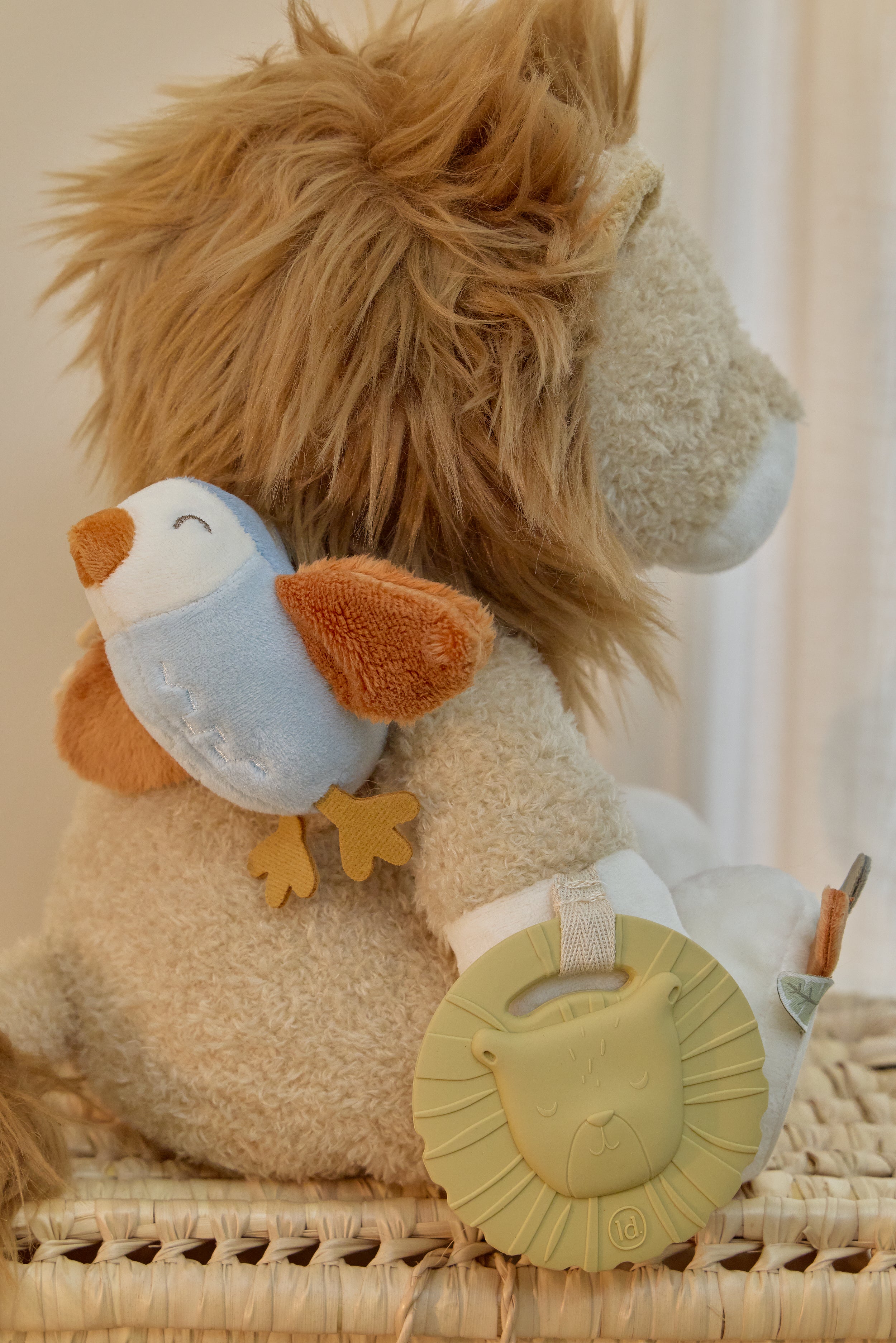 LD8321ActivityLion_SF_LI_03 LD8321ActivityLion_SF_LI_03_6