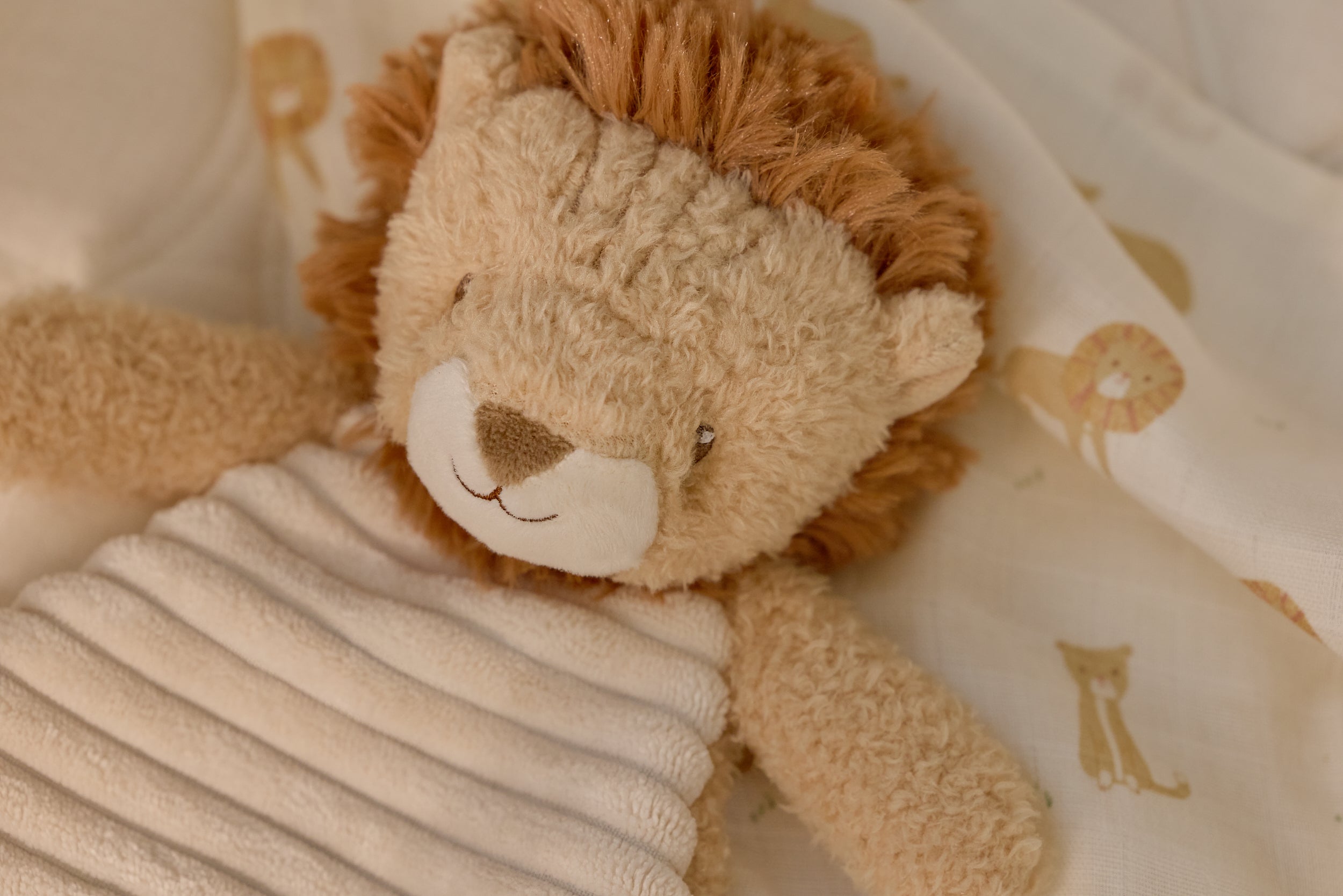 LD8328CuddleClothLion_SF_LI_03 LD8328CuddleClothLion_SF_LI_03_4