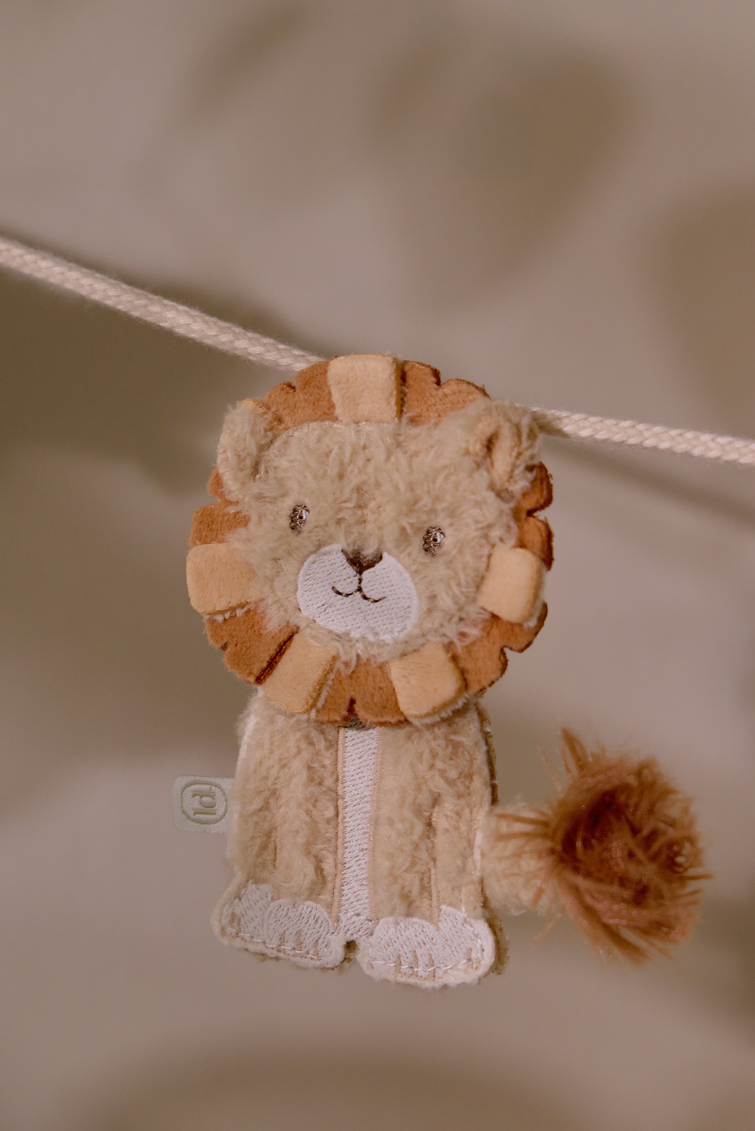 LD9561Lion_SF_LI_01 LD9561Lion_SF_LI_01_2