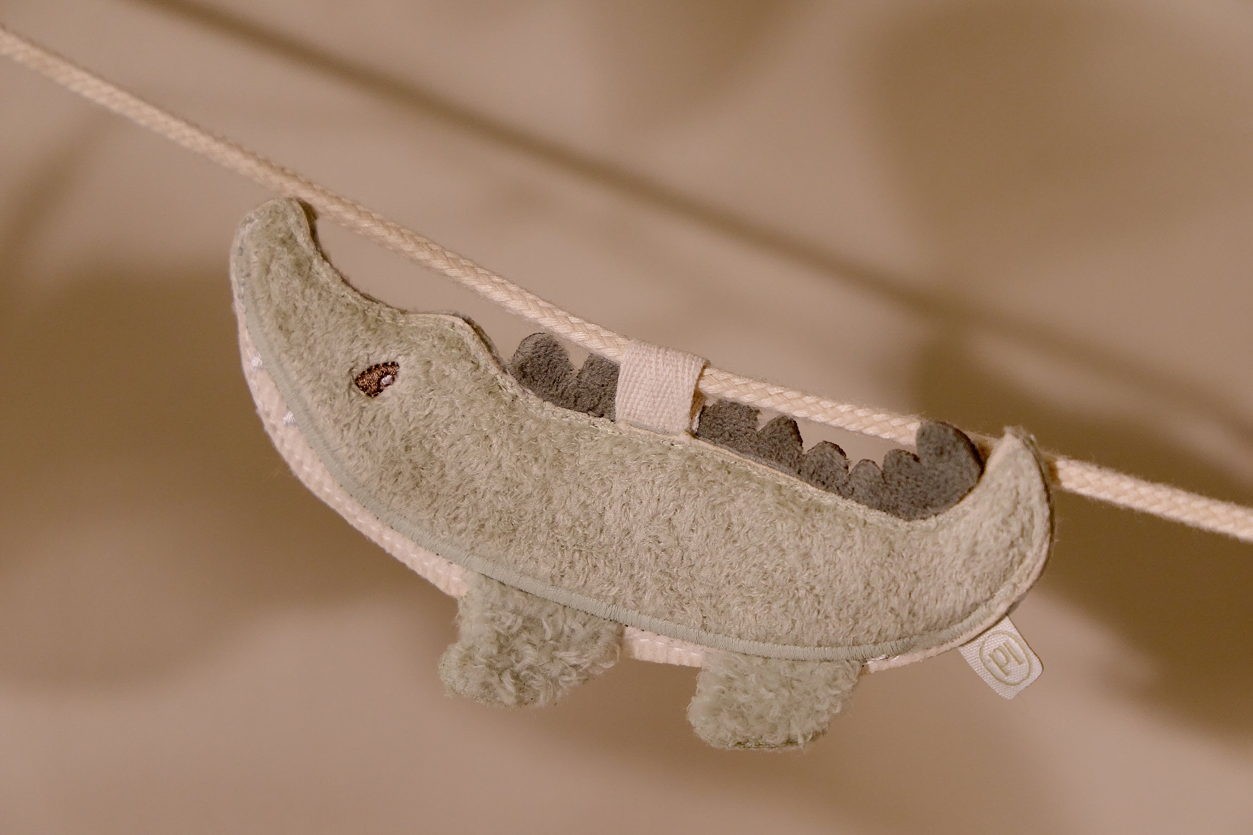 LD9563Crocodile_SF_LI_01 LD9563Crocodile_SF_LI_01_2