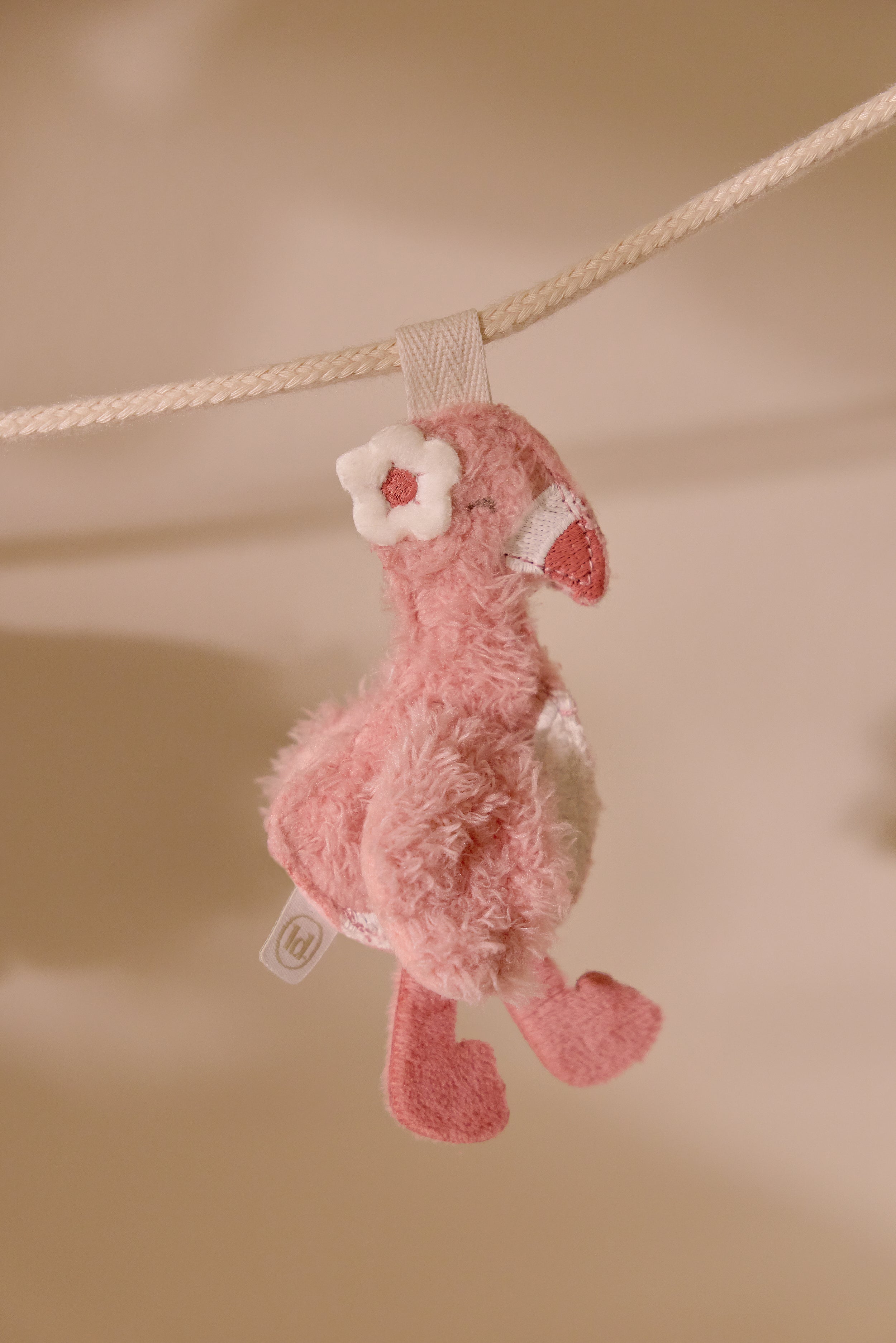 LD9564Flamingo_SF_LI_01 LD9564Flamingo_SF_LI_01_2