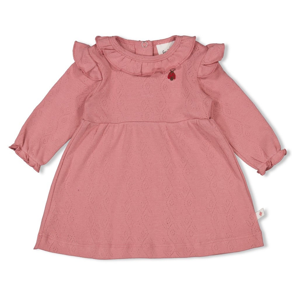 51400574_1_jurk_feetje_ajour_rib_longsleeve_ladybug_roze 51400574_1_jurk_feetje_ajour_rib_longsleeve_ladybug_roze_1