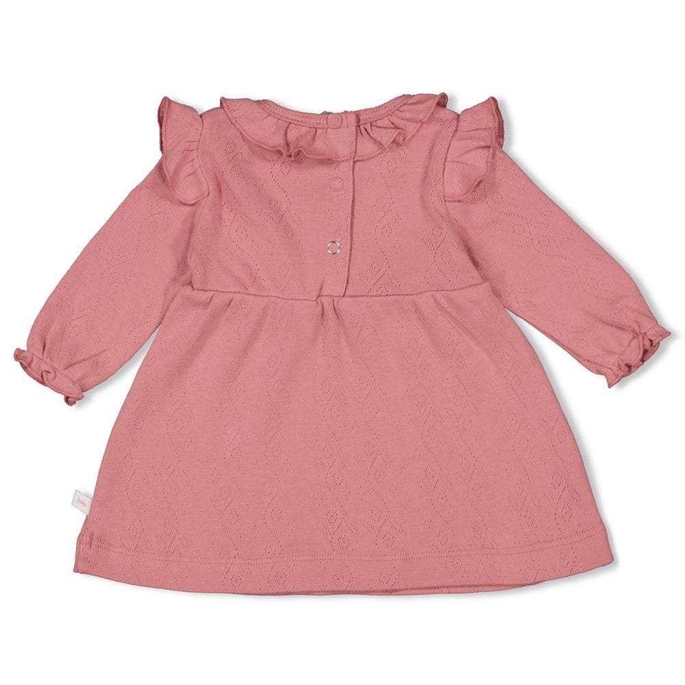 51400574_2_jurk_feetje_ajour_rib_longsleeve_ladybug_roze 51400574_2_jurk_feetje_ajour_rib_longsleeve_ladybug_roze_2