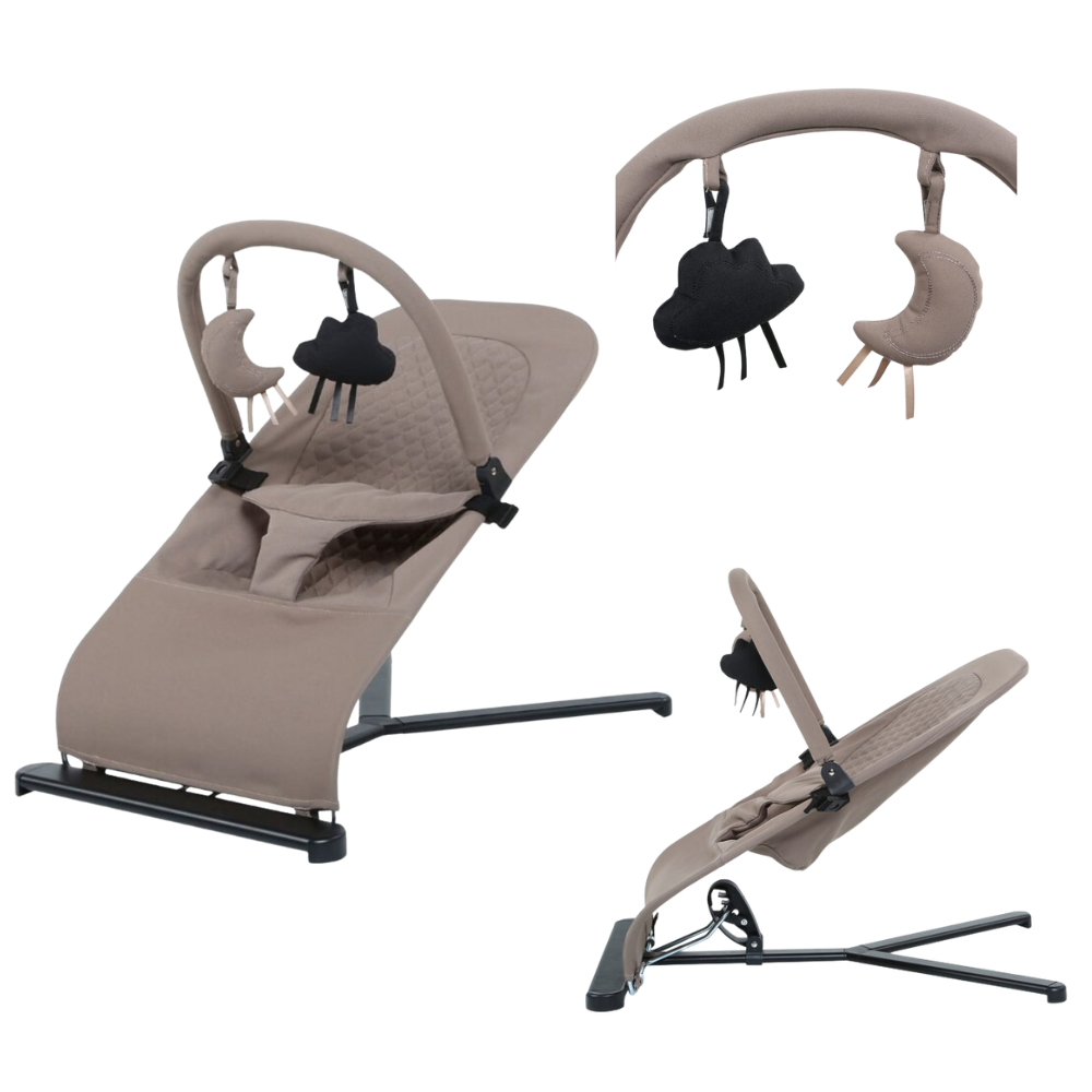 Wipstoel Bouncer Titanium Baby Solid Suzy Lush Taupe Wipstoel Bouncer Titanium Baby Solid Suzy Lush Taupe_1