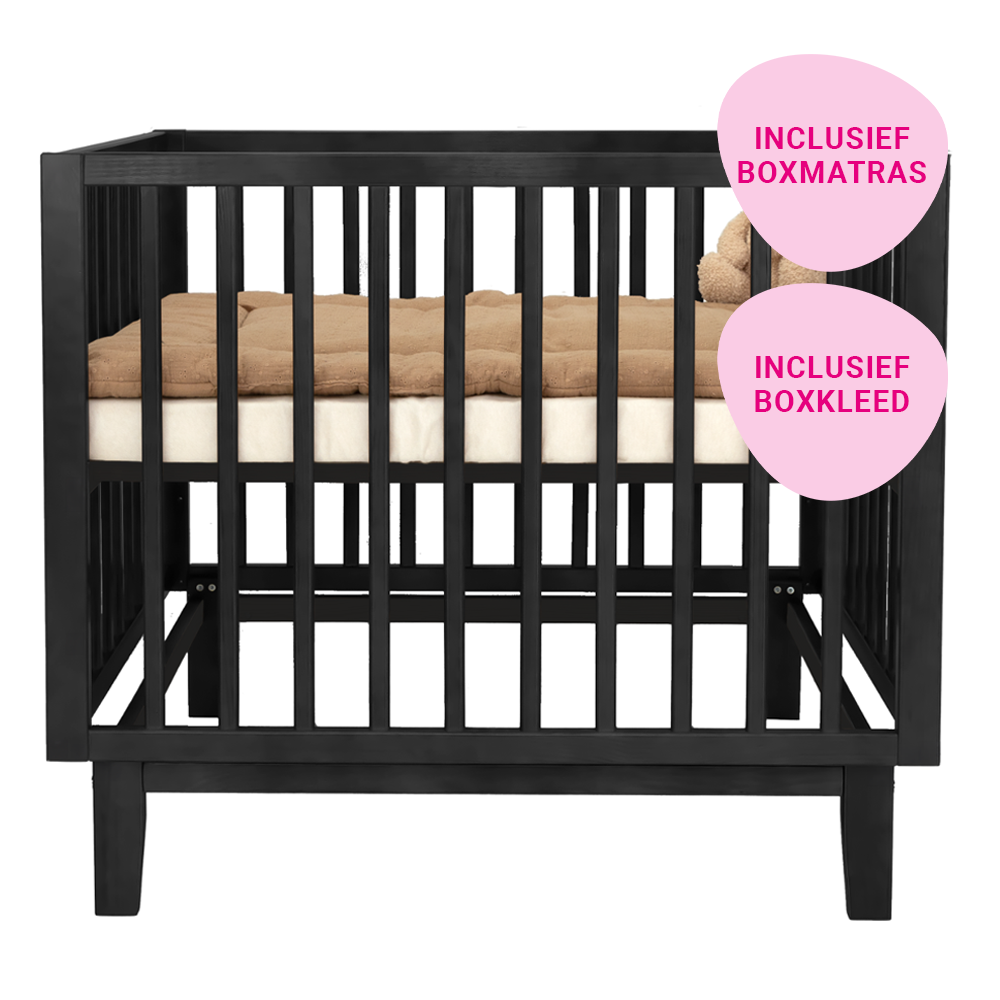 Set | Box Novi Olivia Black Incl. Boxmatras en Boxkleed